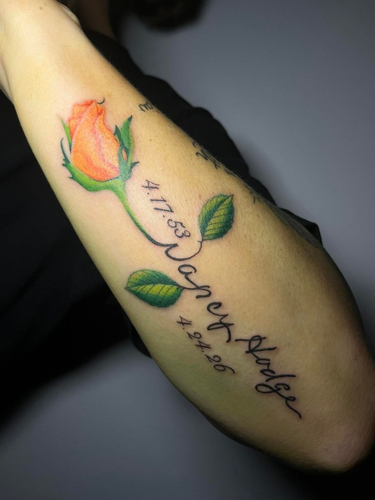 Script & fine line